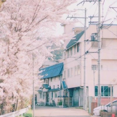 蔡徐坤惊喜亮相柳丝木品牌大会，诠释“生动在场”的生命力之美